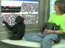 Primeras lecciones de Teco Primeras lecciones de Teco