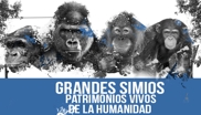 Grandes Simios, Patrimonio de la Humanidad