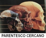 Parentesco