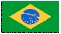 PGS Brasil