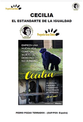 HISTORIA DE CECILIA. UNA GRAN LUCHA CON  FINAL FELIZ