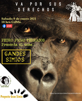 Charla por videoconferencia: Los grandes simios
