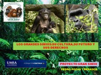 Clase Diplomatura sobre Grandes Simios