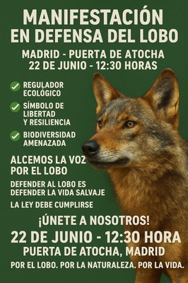 Comunicado urgente en defensa del lobo ibérico
