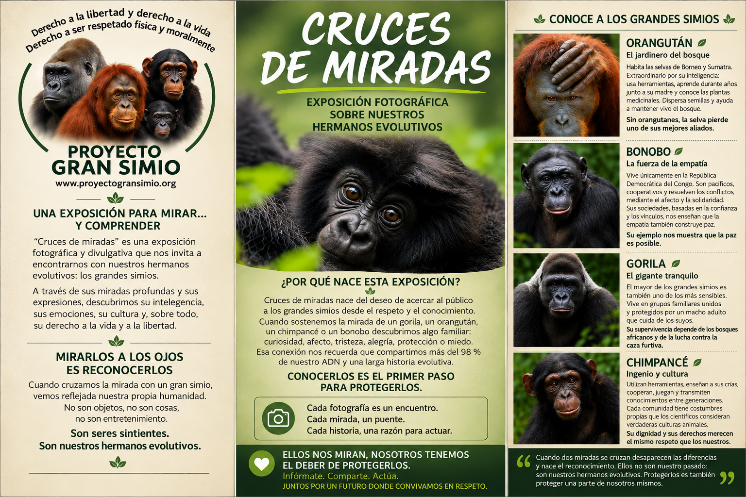 Cruces de miradas. Exposición abierta.