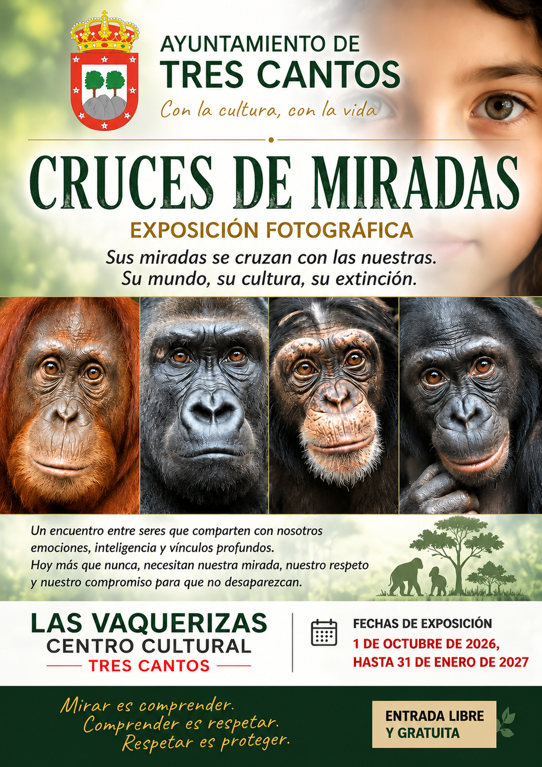 Cruces de miradas