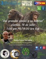 Día mundial del chimpancé. Charla en Puerto Rico.