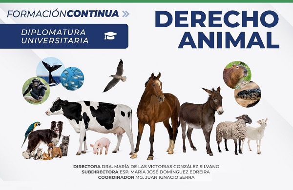 Diplomatura internacional de Derecho Animal