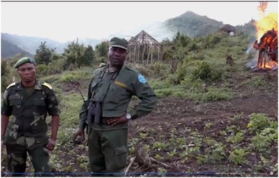 El comunicado del Proyecto Gran Simio sobre el genocidio del pueblo originario Batwa, elevado a pregunta parlamentaria.