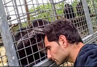 El Dr. Itai Roffman, miembro de la Junta Directiva del PGS y Delegado en Israel,  responde en un artículo al último asesinato conocido de un homínido en un zoo privado de Attica  en Atenas (Grecia)