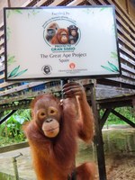 El Orangutan saluda a todos los socios del Proyecto Gran Simio