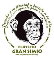 Elegida por Asamblea la nueva Junta Directiva del Proyecto Gran Simio en España.