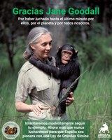 Fallece Jane Goodall. 
