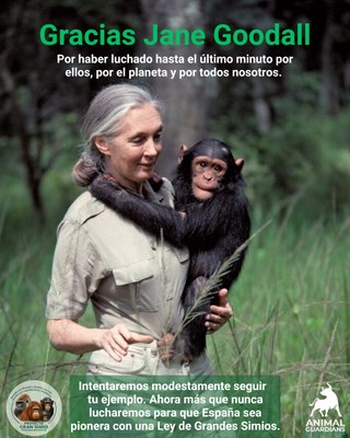 Fallece Jane Goodall. 