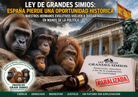 Hunden la ley de grandes simios. Sus responsables