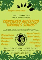 I Concurso artístico y literato en defensa de los grandes simios organizado por Proyecto Gran Simio.