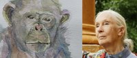Jane Goodall hace un llamamiento para liberar a Toti cautivo en un zoo de Argentina