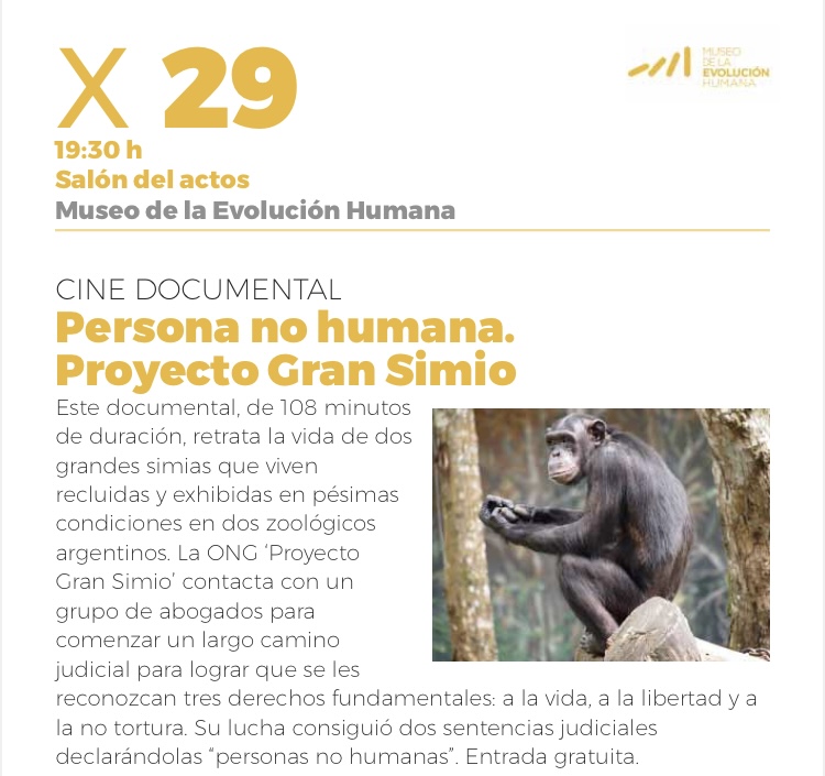 "Persona no Humana" se proyecta en el Museo de la Evolución Humana