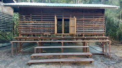 PGS España financia instalación de orangutanes en Borneo.