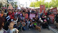Proyecto Gran Simio  en las jornadas parlamentarias y concentración frente al Congreso a favor de la Ley de Protección Animal