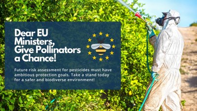 Proyecto Gran Simio junto a 33 Asociaciones Internacionales solicitan a la UE protección para los polinizadores y las abejas frente a los plaguicidas.