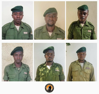 Proyecto Gran Simio lamenta el nuevo asesinato de  seis nuevos Ranger encargados de la vigilancia del Parque Nacional de Virunga.