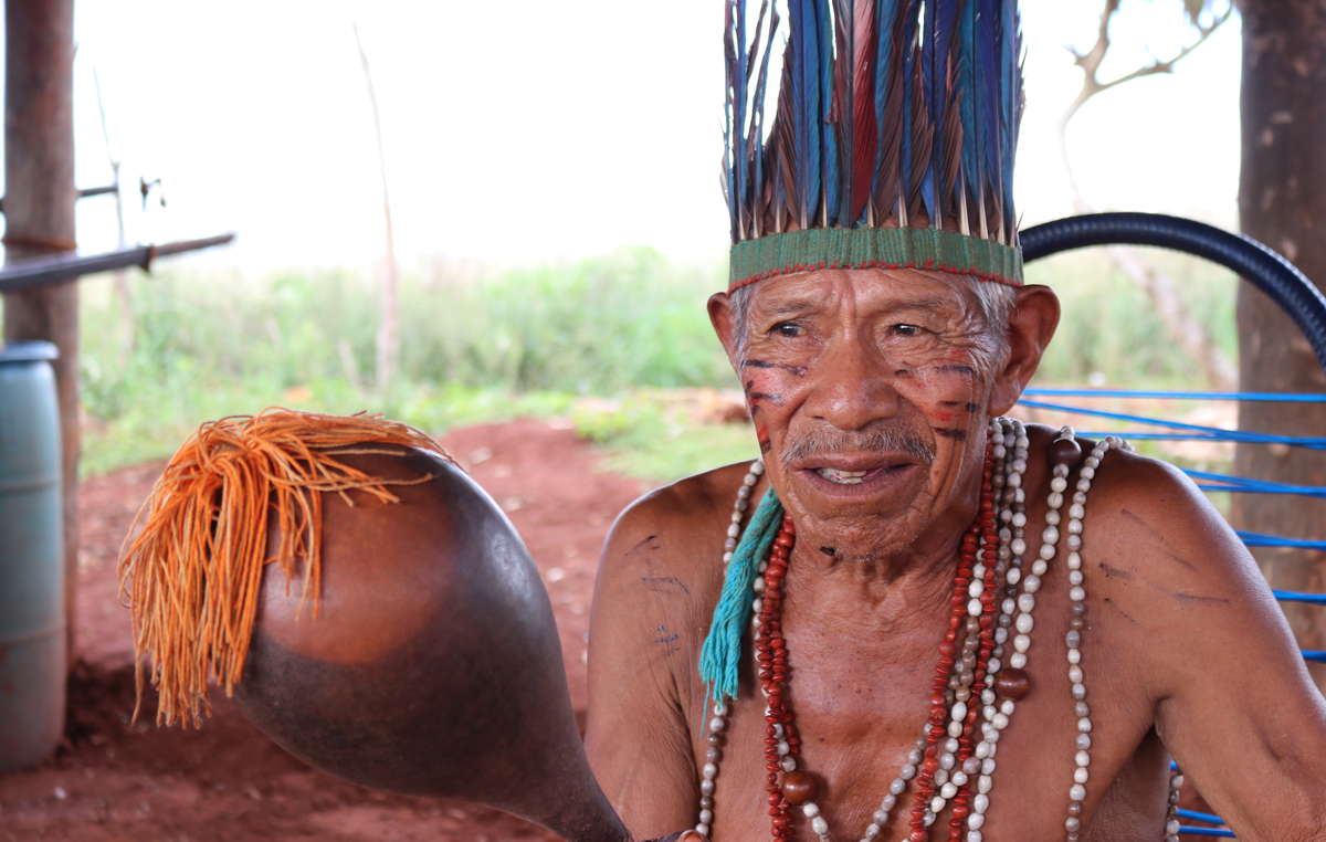 Proyecto Gran Simio se une a la campaña realizada por Survival International  “La mentira verde”en protección a los territorios de los pueblos indígenas.
