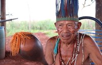 Proyecto Gran Simio se une a la campaña realizada por Survival International  “La mentira verde”en protección a los territorios de los pueblos indígenas.