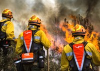 Proyecto Gran Simio y Un bosque para el planeta Tierra, responden preguntas de la Vicepresidencia Cuarta del Gobierno, en relación a un marco legal común para los bomberos forestales.