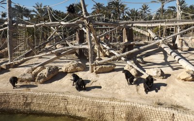 Se solicita al Presidente de la Junta de Andalucía la reconversión del nuevo zoo en Málaga