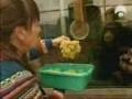¿Tienen los chimpancés una forma primitiva de lenguaje? ¿Tienen los chimpancés una forma primitiva de lenguaje?